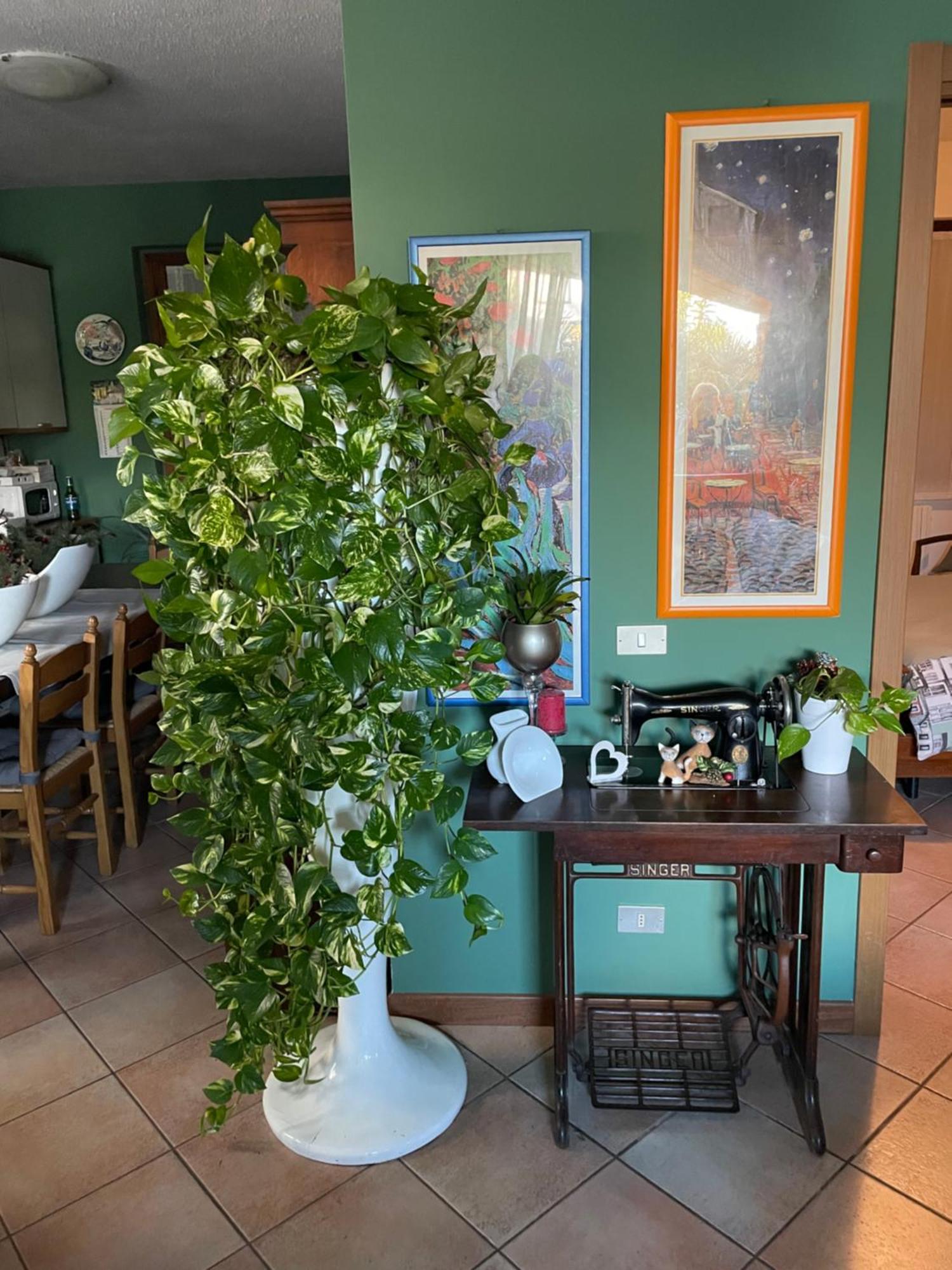 Il Giardino Di Emilia - Intero Appartamento In Villa Con Giardino Privato E Piscina Estiva Pontirolo Nuovo 외부 사진