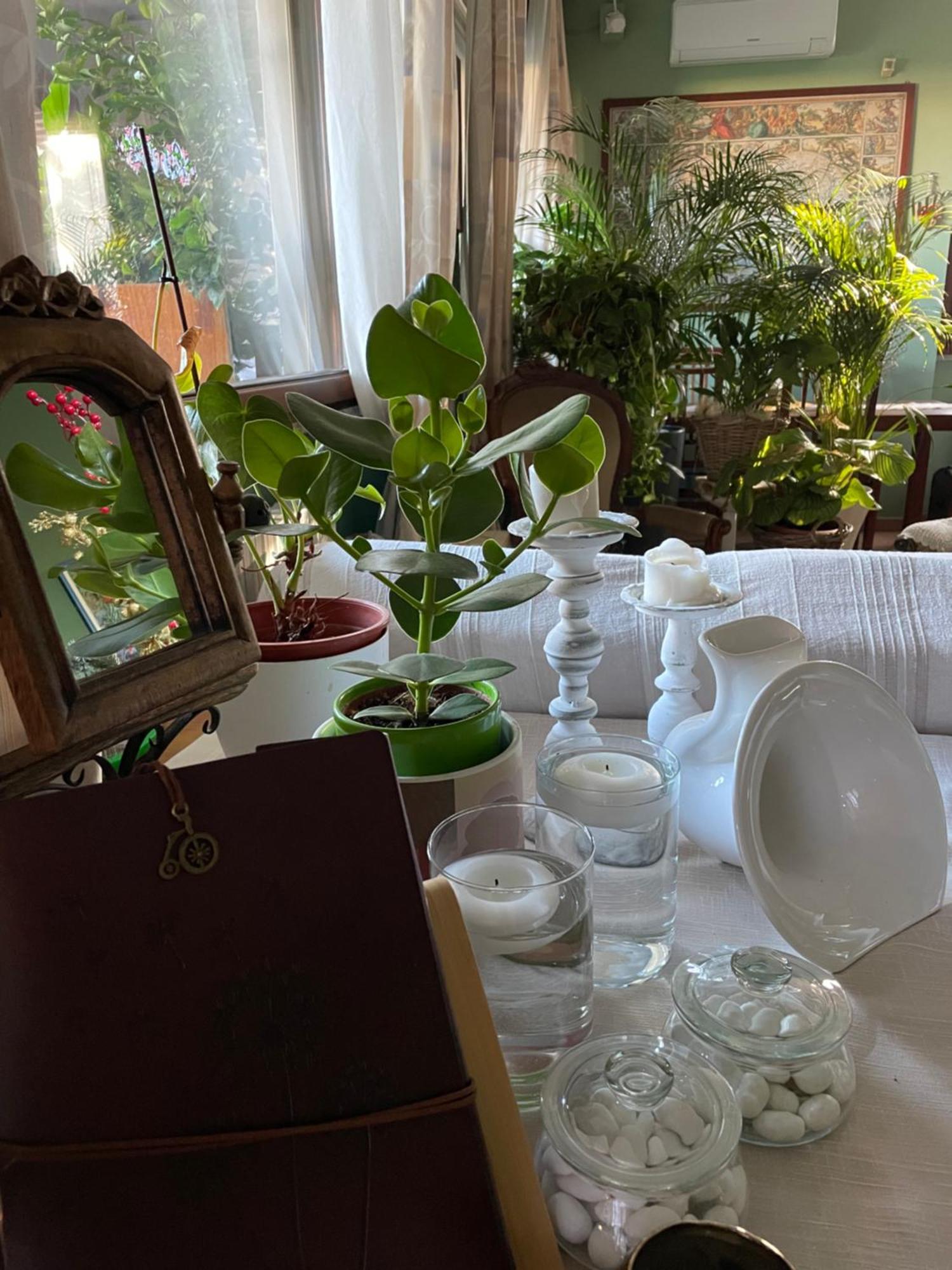 Il Giardino Di Emilia - Intero Appartamento In Villa Con Giardino Privato E Piscina Estiva Pontirolo Nuovo 외부 사진
