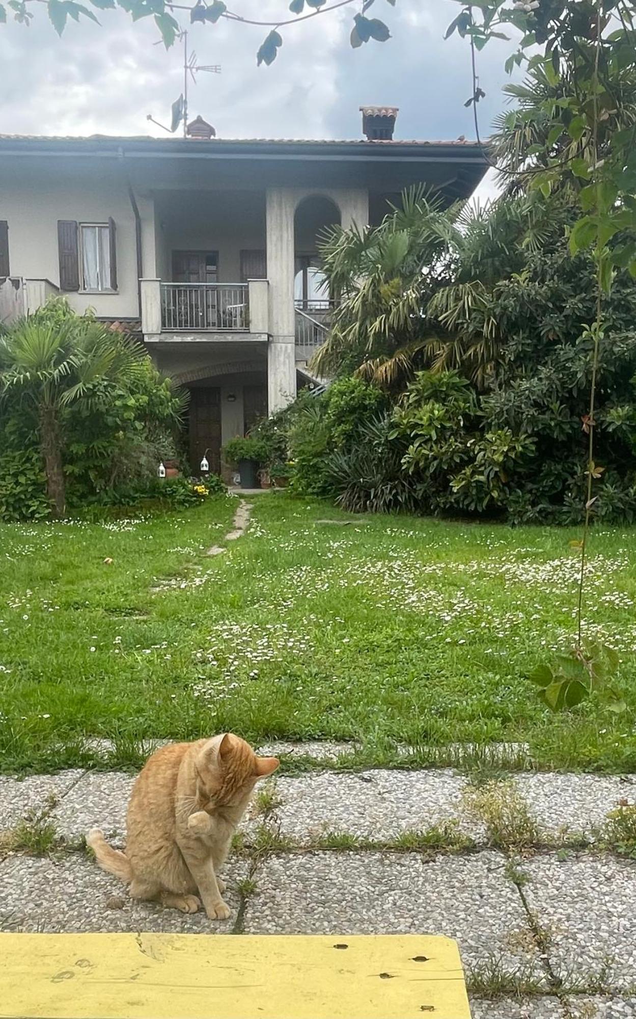 Il Giardino Di Emilia - Intero Appartamento In Villa Con Giardino Privato E Piscina Estiva Pontirolo Nuovo 외부 사진